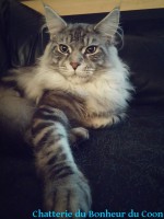 /album/jayzy-de-laf-/jayzy-8-mois-et-demi-jpg/